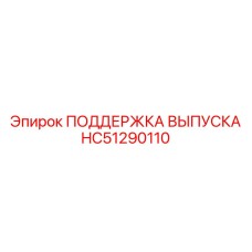 HC51290110 ПОДДЕРЖКА ВЫПУСКА Epiroc