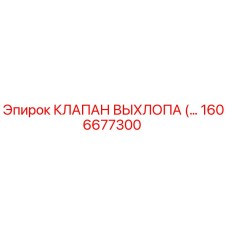 1606677300 КЛАПАН ВЫХЛОПА Epiroc