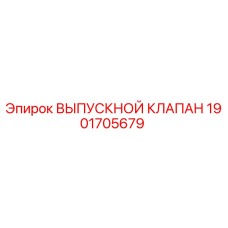 1901705679 ВЫПУСКНОЙ КЛАПАН Epiroc