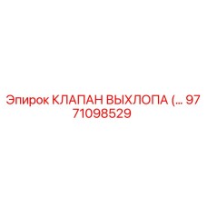 9771098529 КЛАПАН ВЫХЛОПА Epiroc
