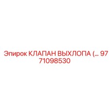 9771098530 КЛАПАН ВЫХЛОПА Epiroc