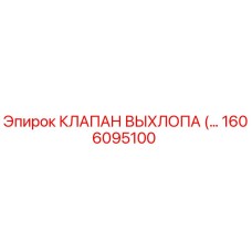 1606095100 КЛАПАН ВЫХЛОПА Epiroc