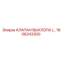 1606243300 КЛАПАН ВЫХЛОПА Epiroc