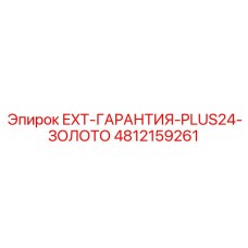 4812159261 EXT-ГАРАНТИЯ-PLUS24-ЗОЛОТО Epiroc