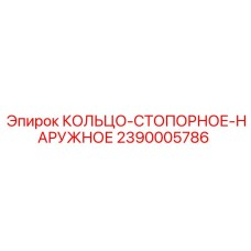 2390005786 КОЛЬЦО-СТОПОРНОЕ-НАРУЖНОЕ Epiroc