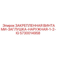 5730014958 ЗАКРЕПЛЕННАЯ ВИНТАМИ-ЗАГЛУШКА-НАРУЖНАЯ-1-2-IG Эпирок (Epiroc)
