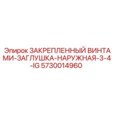5730014960 ЗАКРЕПЛЕННЫЙ ВИНТАМИ-ЗАГЛУШКА-НАРУЖНАЯ-3-4-IG Эпирок (Epiroc)