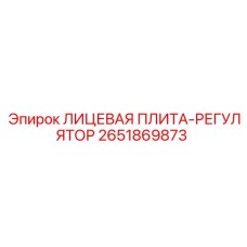 2651869873 ЛИЦЕВАЯ ПЛИТА-РЕГУЛЯТОР Epiroc