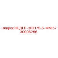 5730006286 ФЕДЕР-30X175-5-ММ Epiroc