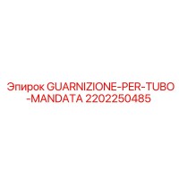 2202250485 GUARNIZIONE-PER-TUBO-MANDATA Epiroc