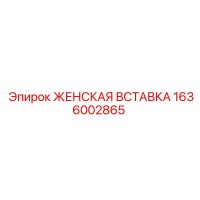 1636002865 ЖЕНСКАЯ ВСТАВКА Epiroc