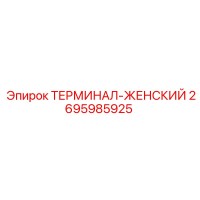 2695985925 ТЕРМИНАЛ-ЖЕНСКИЙ Epiroc