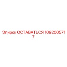 1092005717 ОСТАВАТЬСЯ Epiroc