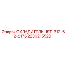 2236215529 ОХЛАДИТЕЛЬ-1ST-B13-62-2175 Epiroc