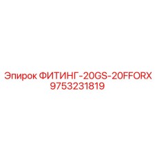 9753231819 ФИТИНГ-20GS-20FFORX Epiroc