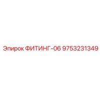 9753231349 ФИТИНГ-06 Epiroc