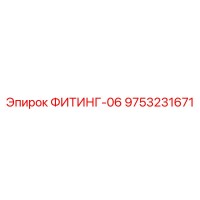 9753231671 ФИТИНГ-06 Epiroc