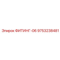 9753238481 ФИТИНГ-06 Epiroc
