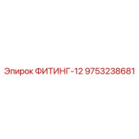 9753238681 ФИТИНГ-12 Epiroc