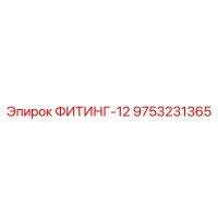 9753231365 ФИТИНГ-12 Epiroc