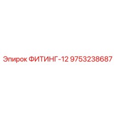 9753238687 ФИТИНГ-12 Epiroc
