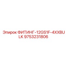 9753231806 ФИТИНГ-12GS1F-4XXBULK Epiroc