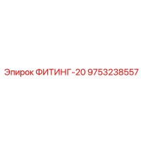 9753238557 ФИТИНГ-20 Epiroc