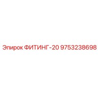 9753238698 ФИТИНГ-20 Epiroc