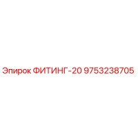 9753238705 ФИТИНГ-20 Epiroc