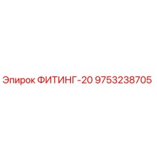 9753238705 ФИТИНГ-20 Epiroc