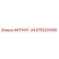 9753231595 ФИТИНГ-24 Epiroc