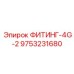 9753231680 ФИТИНГ-4G-2 Эпирок