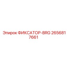 2656817661 ФИКСАТОР-BRG Epiroc