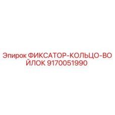 9170051990 ФИКСАТОР-КОЛЬЦО-ВОЙЛОК Epiroc