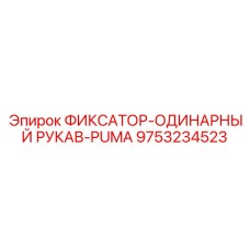 9753234523 ФИКСАТОР-ОДИНАРНЫЙ РУКАВ-PUMA Epiroc