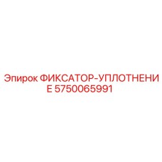 5750065991 ФИКСАТОР-УПЛОТНЕНИЕ Epiroc