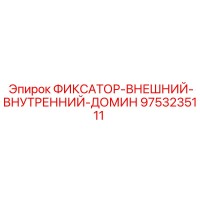 9753235111 ФИКСАТОР-ВНЕШНИЙ-ВНУТРЕННИЙ-ДОМИН Эпирок