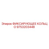 9753203448 ФИКСИРУЮЩЕЕ КОЛЬЦО Epiroc