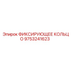 9753241623 ФИКСИРУЮЩЕЕ КОЛЬЦО Epiroc