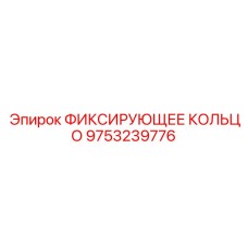 9753239776 ФИКСИРУЮЩЕЕ КОЛЬЦО Epiroc