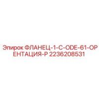 2236208531 ФЛАНЕЦ-1-C-ODE-61-ОРЕНТАЦИЯ-P Epiroc
