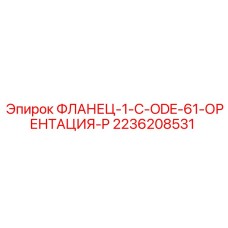 2236208531 ФЛАНЕЦ-1-C-ODE-61-ОРЕНТАЦИЯ-P Epiroc
