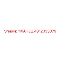 4812033079 ФЛАНЕЦ Epiroc