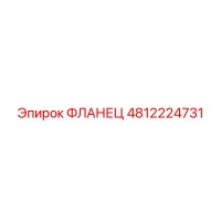 4812224731 ФЛАНЕЦ Epiroc