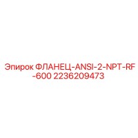 2236209473 ФЛАНЕЦ-ANSI-2-NPT-RF-600 Epiroc