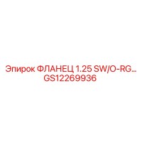 GS12269936 ФЛАНЕЦ 1.25 SW/O-RG… Epiroc