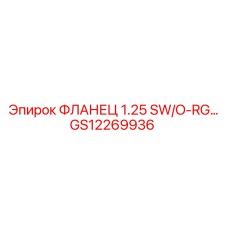 GS12269936 ФЛАНЕЦ 1.25 SW/O-RG… Epiroc