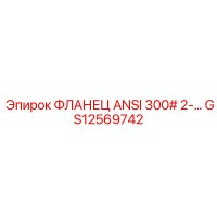 GS12569742 ФЛАНЕЦ ANSI 300# 2-… Epiroc