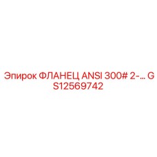 GS12569742 ФЛАНЕЦ ANSI 300# 2-… Epiroc