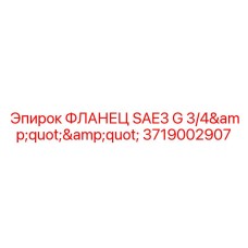 3719002907 ФЛАНЕЦ SAE3 G 3/4